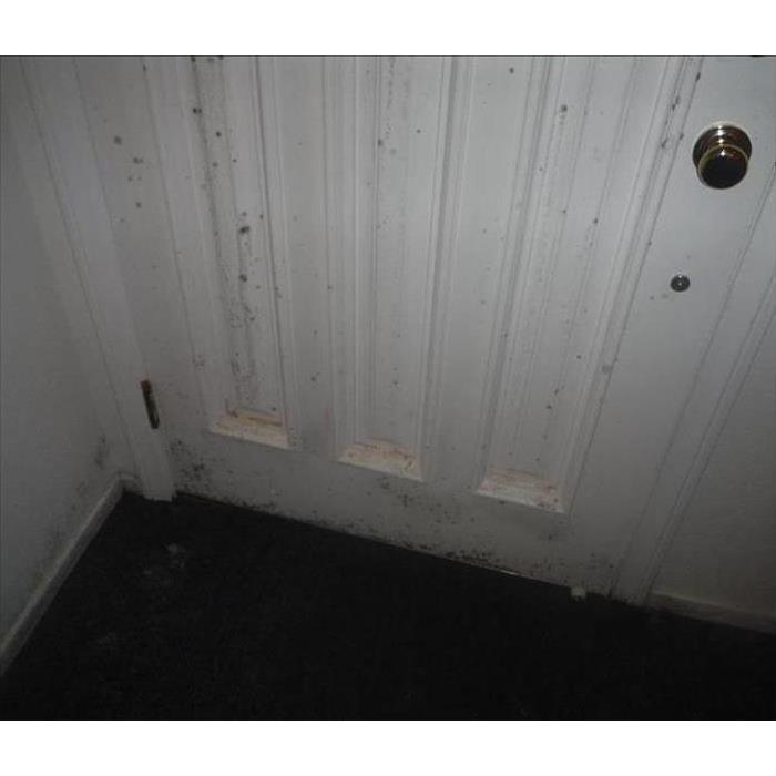 Mold on a door 
